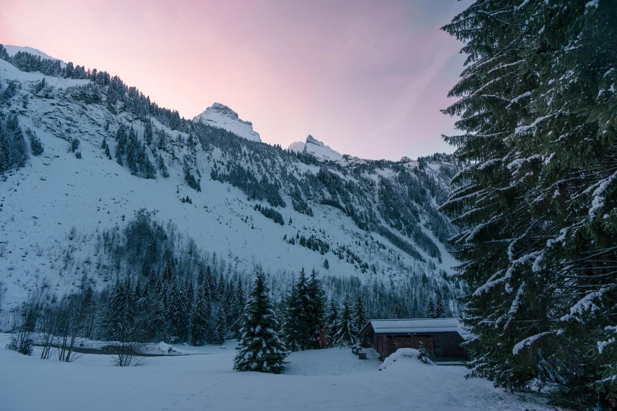 Chalet 1864 Le Grand-Bornand Kültér fotó